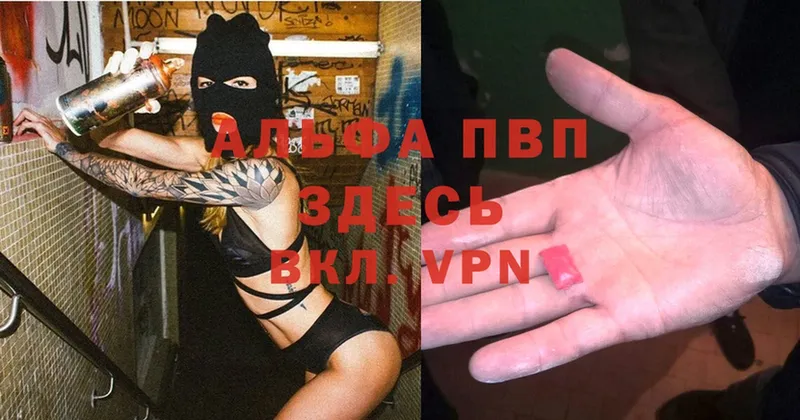 Alfa_PVP СК  Зубцов 