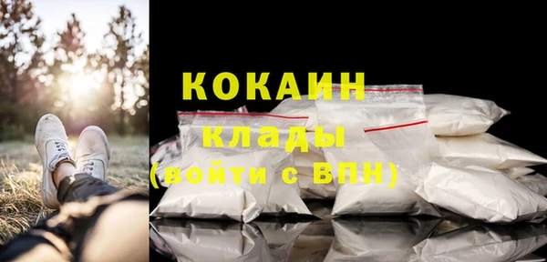 spice Богданович