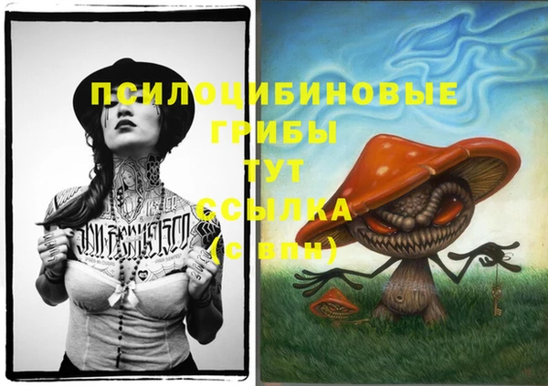 марки lsd Нязепетровск