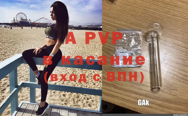 спайс Няндома