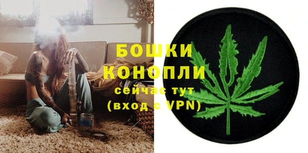 спайс Няндома