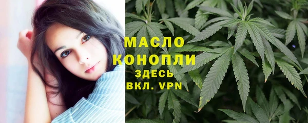 ешки Новодвинск