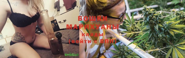 спайс Няндома