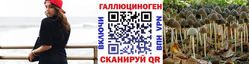 Галлюциногенные грибы мицелий  даркнет сайт  Зубцов 